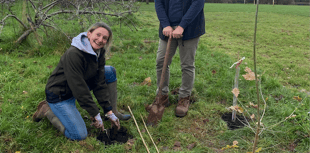 New Wellington tree planting dates released for 2025 