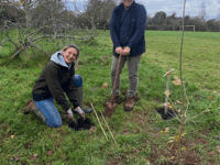 New Wellington tree planting dates released for 2025 