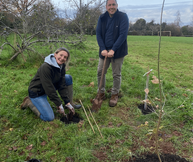 New Wellington tree planting dates released for 2025 