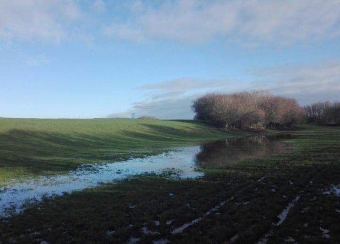 Proposed site of the solar farm north of Saltlands Avenue in Bridgwater (Photo: Alandem Consulting)