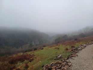 Budget cuts threaten the future of Somerset's national landscapes