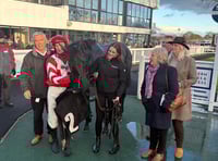Plenty of confusion over race meeting 