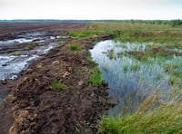 Somerset Wildlife Trust urge Government to ban sale of peat