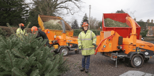 Hospice raises £32,000 in Christmas tree collection scheme