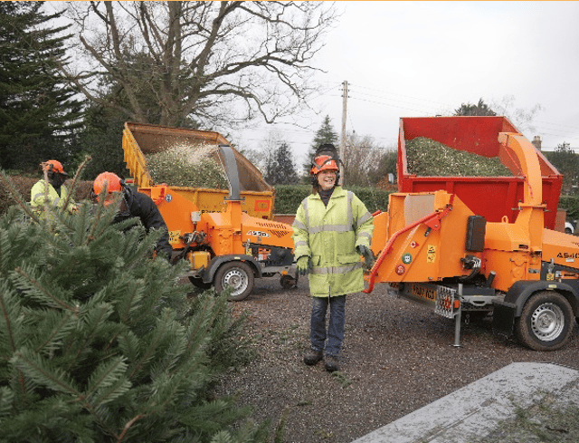 Hospice raises £32,000 in Christmas tree collection scheme