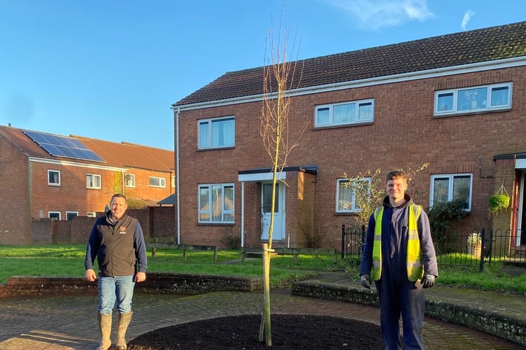 The trees successfully planted in the Gay Close play area after a speedy green makeover