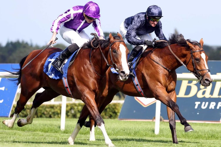 Point to point at Chipley Park