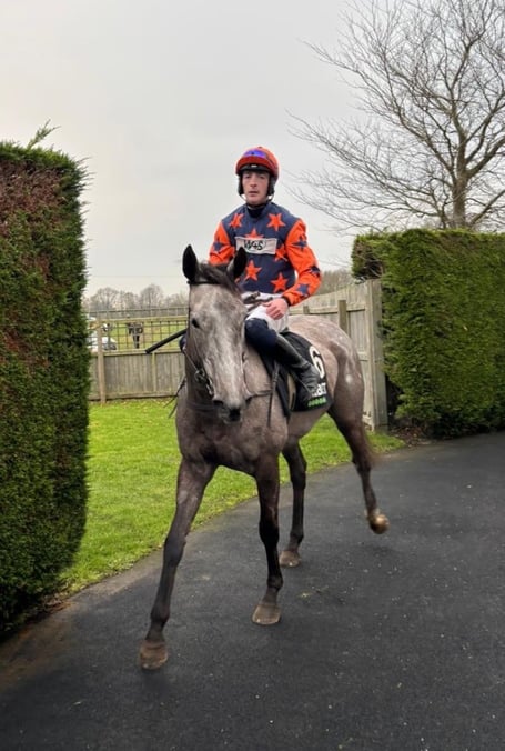 Kingston Queen - a bumper winner at Market Rasen under Gearoid Harney