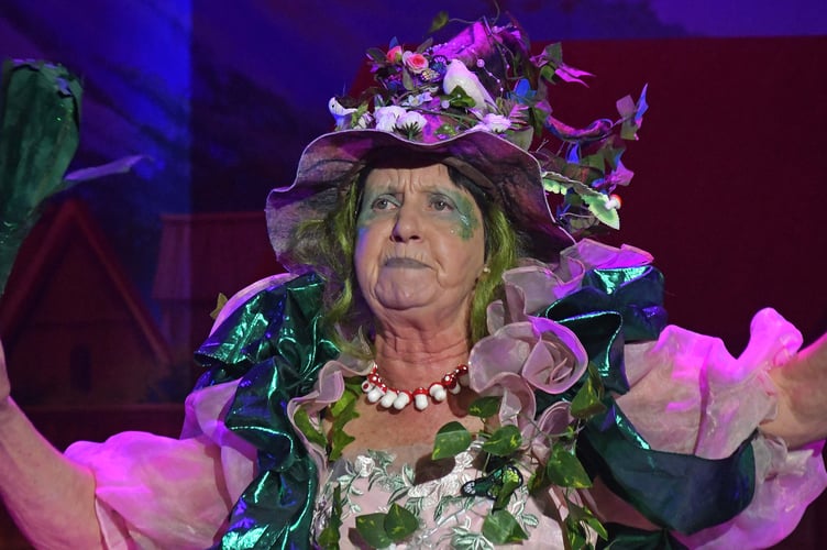 Mary Lewis plays Fairy Compost - jack and the beanstalk pantomime
