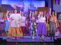 Wellington’s 50th pantomime a great success