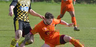 Wellington hoping for change of luck in home game 