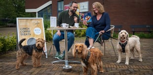 Taunton Brewhouse to host tail-wagging Valentine's celebration