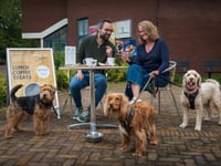 Taunton Brewhouse to host tail-wagging Valentine's celebration