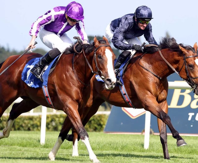 Tiverton Foxhounds' point to point at Chipley Park rearranged