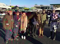 Third time lucky for brave Belfrina over hurdles