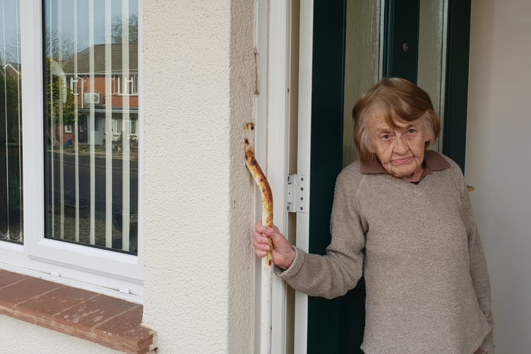Sue Palk, who is suffering damp problems in her Wellington council flat.