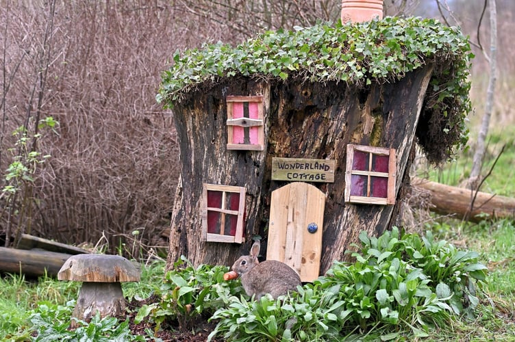 Tinner Tinsky’s ‘enchanted’ cottage in his garden — made from a tree stump — which has attracted a host of wildlife, including rabbits and deer among other animals.