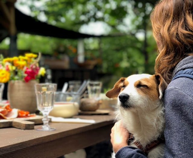 Café to raise funds for local animal welfare charity