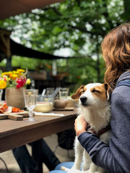On March 2, dog-owners and puppy lovers will have the chance to gather at Wellington’s BrewTwo café for a special Doggy Coffee Morning fundraiser 