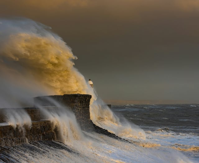 Met Office issues wind warning for Somerset and South West