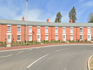 Major nature charity to 'intervene' in Wellington housing development