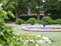 20 things to enjoy in Wellington this Spring