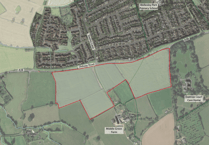 Campaigners fear Wellington will become a 'concrete urban commuter jungle'