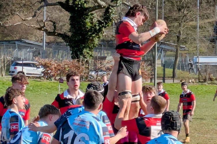Wellington win lineout ball