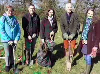MP and town mayor get planting in Wellington