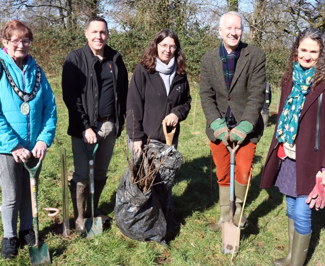 MP and town mayor get planting in Wellington
