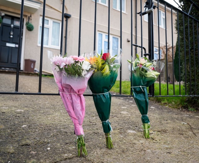 Dog which killed girl, 19, confirmed as XL Bully owned by cousin