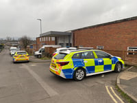 Modern slavery probe after seizure of hundreds of cannabis plants