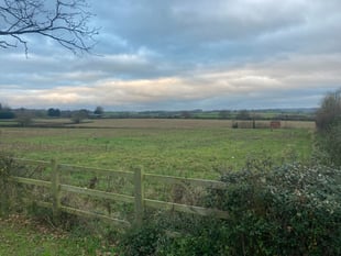 Somerset Council 'curls up and dies' at inquiry into 315 homes near M5