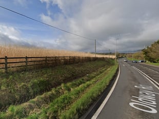 Time running out to have say on 250-home plan near Wellington Monument