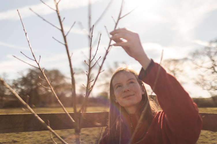 National Trust ranger Fi Hailstone plants Black Poplar trees at Killerton, Devon. The rarest of Britain's tree species, The Trust are working in partnership with conservation groups to create a bank in the wetlands at the site.