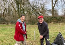 Town on track to plant 3000th tree in four months