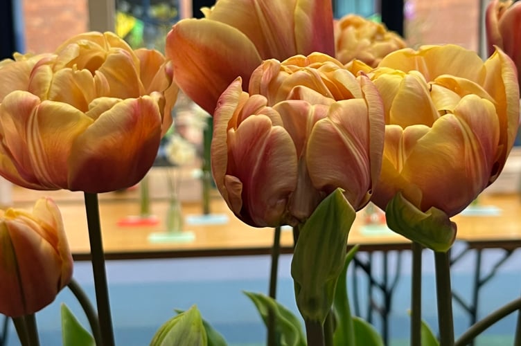 The Wellington Spring Flower Show is set to return for another year of bulbs and blooms this April