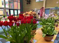 Spring flower show to return to Wellington