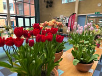 Spring flower show to return to Wellington