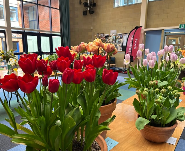 Spring flower show to return to Wellington