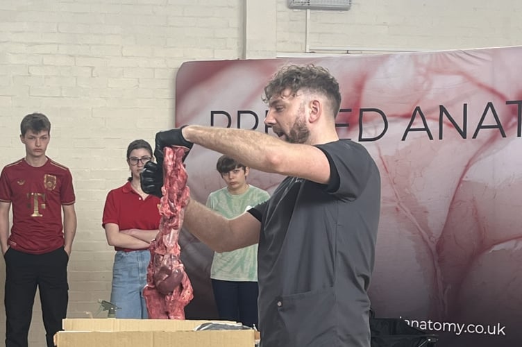 Anatomists hold up pig organs as part of a school anatomy event