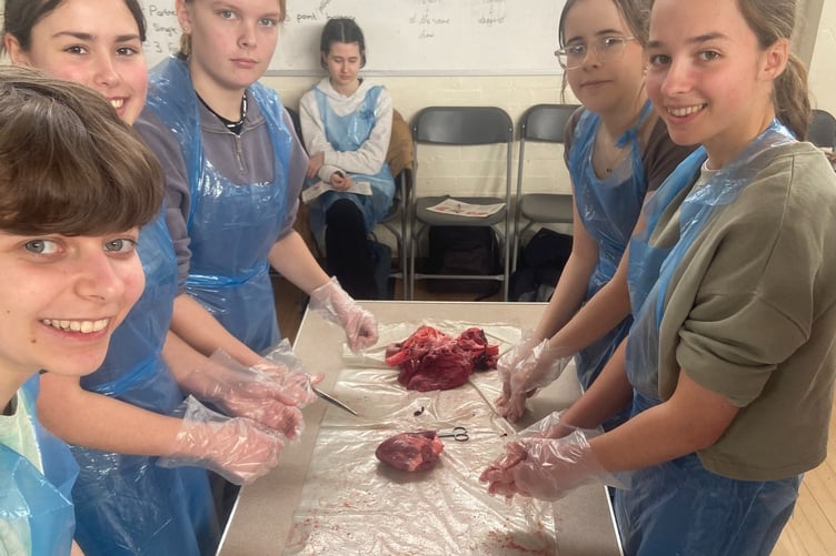 Court Fields Students learn about human anatomy with pig organ dissections
