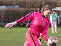 Wildcats' unbeaten run ends at Frome