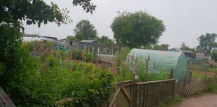 Somerset Council denies allotment funding