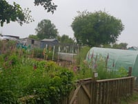 Disappointment over Wellington allotment bonfire rules