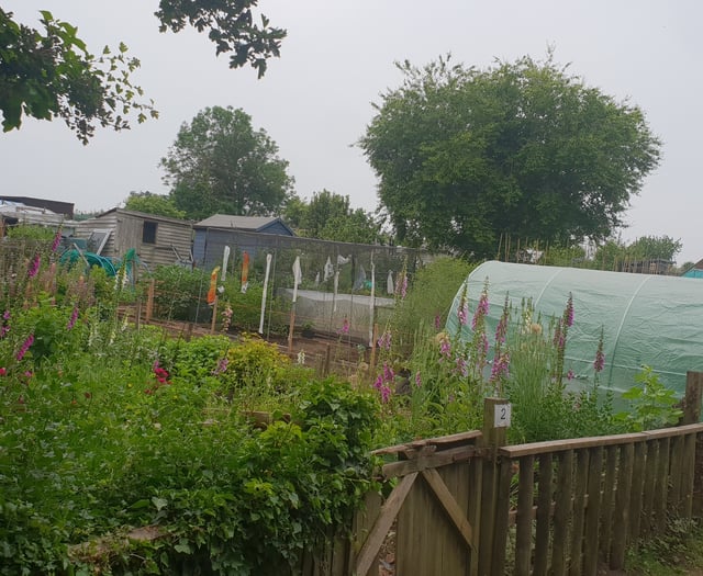 Raised allotment beds proposed for people with mobility issues