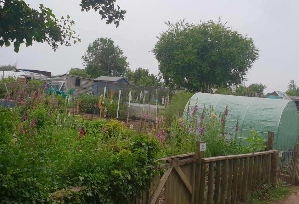 Disappointment over Wellington allotment bonfire rules