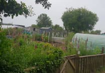Council denies funding request for accessible allotments deemed "non-recreational"