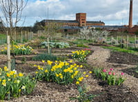 Public invited to community garden summer picnic