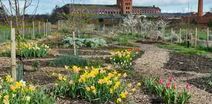 Public invited to community garden summer picnic